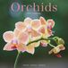 Avonside Orchidee Kalender 2027 Wandkalender