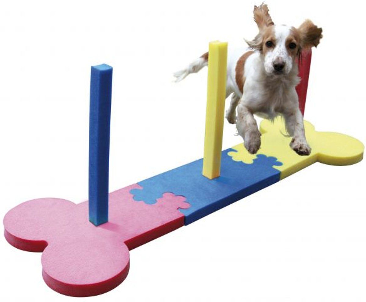 Rosewood Dog Agility Hondentraining - Slalom voor kleine honden Gebruik dit product veilig lees voor gebruik de handleiding