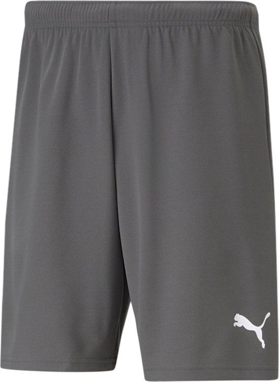 Puma Teamrise Short Heren - Grijs | Maat: 3XL