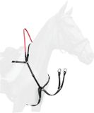 Waldhausen Borsttuig met Secutrust Veiligheidsteugels - Zwart, Leer, Pony