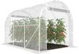 Outsunny Tunnelkas-Staal, PE-195L x 295B x 195H cm-Transparant