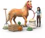 Schleich Emily's verzorgingsset