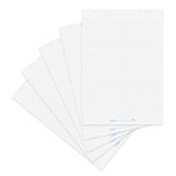 Herlitz flipchartpapier, gerecycled, geruit, 65 x 98 cm, met 20 vellen per blok, opgerold verpakt, 6 gaten, 5 stuks