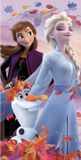 Disney Frozen Frozen strandlaken Nature 70 x 140 cm