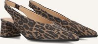 Notre-V 41903 Hakken Dames - Bruin - Maat 38