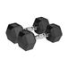 Rebel Active Serie - Hexagonale Gewichten - 2x10 kg - Gietijzeren en Rubbercoating - Veilig en Duurzaam