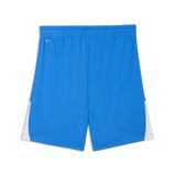 Puma teamLIGA26 Shorts