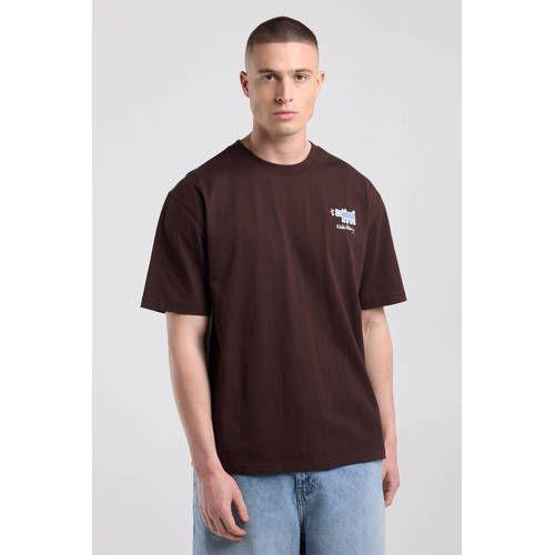 America Today Relaxed Fit T-shirt met Backprint - Bruin