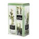 Metalen Faveco 521657 Metalen doos, Breakfast, 6,5 cm