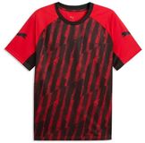 Puma IndividualLIGA Graphic Jersey Heren S