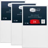 Artina Set van 3 Schildersdoeken 50x100 cm - FSC® Schildersdoek 3 Stuks - Akademie Canvas Dubbel Geprimed Spieraam Wit