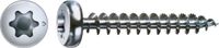 Spax Torx Houtschroef Bolle kop - 3.0x10mm - T10 - 100 stuks