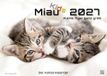 Miau Kids - Kleine Tiger Ganz Groß - Der Katzenkalender - 2027 - Kalender DIN A2