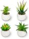 Unyqoos Set de 4 mini plantes artificielles décoratives dans des pots en céramique