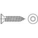 TOOLCRAFT 149617 Vis de tôle 3.9 mm 25 mm T-profil Acier zingué par galvanisation 500 pièce(s)