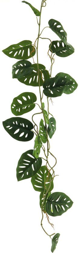 Erutan avon Philo split leaf garland green 120cm