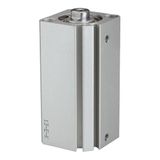 Korte RIEGLER Korte cilinder »ACQ« dubbelwerkende magneet, IG, zuiger Ø 20, hub 40, aansluiting M5x0,8, werkdr. 1-10 bar, temp. -20 °C tot 70 °C