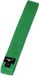 Mizuno Ceinture de Judo Verte Coton 235 cm