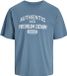 JACK&JONES JPRBLUGAVIN SS TEE T-shirt Homme XXL Coton Captains Blue Printemps/Été 2024