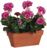 Mica Decorations Geranium Kunstplant in Balkonbak - L29 x B13 x H40 cm - Paars