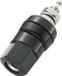 TRU COMPONENTS Borne de piscine Noir 30 A 1 pièce(s)