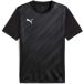 Puma Jersey teamGoal Graphic