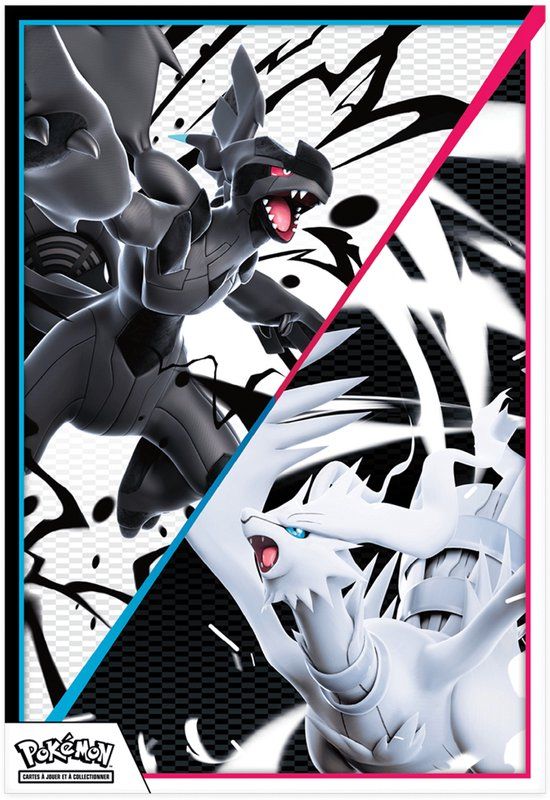 Asmodee Pokémon: Coffret Poster Foudre Noire&Flamme Blanch
