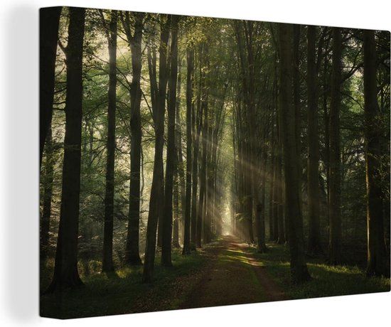 OneMillionCanvasses Canvas schilderij 140x90 cm - Bospad - Zonnestralen - Multicolor - Modern