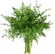 Ibenzoa® Realistische Groenbomen en Planten Set - 10 Stuks voor Interieur en Decoratie