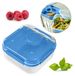 EDANTI Boîte à pain Large Lunchbox pour les petits de collation Boîte à pain adulte Boîte à repas avec compartiments Récipient pour le petit déjeuner