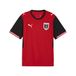 PUMA Tricot 'Österreich 2026' donkerrood / zwart / wit
