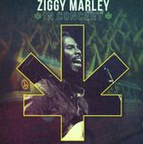 V2 International Ziggy Marley In Concert