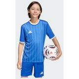 adidas Entrada26 Graphic Jersey Kids Shirt, team royal blue/white, 9-10 Years