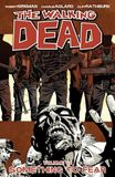 Something Image Comics The Walking Dead Vol 17 Something to Fear Paperback