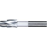 PFERD HSS 25203113 Vlassenkern met geleidingspegels, Ø 20,0 mm, schachtdiameter 12,5 mm, DIN 373, medium, voor doorgangsgaten