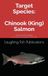 Target Chinook Salmon: Mastering the Pursuit of North America's Greatest Salmon