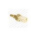 Delphi TS10288 temperatuursensor