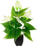 Anthurium Kunstplant in pot - Witte Kunststof Kamerplant - 50 cm