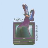 Suburban Berries How We Function LP