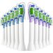 Jec-B Smile Philips Sonicare 12 Stuks Opzetborstels compatibel met Philips Sonicare Elektrische Tandenborstel, Borstelkoppen Click-On 4100-7100, Medium (6x Blauw + 6x Paars)