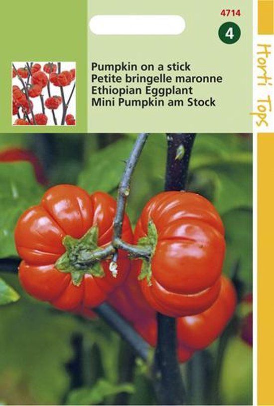 Hortitops Solanum Bloemzaad - Pumpkin On A Stick