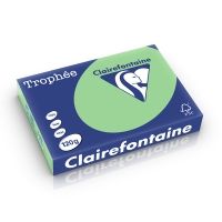 Clairefontaine Gekleurd Papier Natuurgroen 120 grams A4 (250 vel)