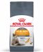 Royal Canin Hair & Skin Care - Kattenvoer - 4 kg
