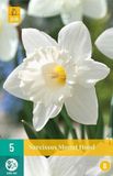 Jub Narcis Mount Hood bloembollen 5 bollen