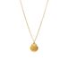 Lucardi Dames Stainless steel ketting met hanger schelp voor dames - Ketting - Staal - Goudkleurig - 47 cm