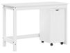 Bureau Set 2 pièces Pin massif blanc