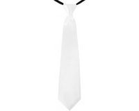 Merkloos Carnaval verkleed stropdas - wit - volwassenen - 40 cm