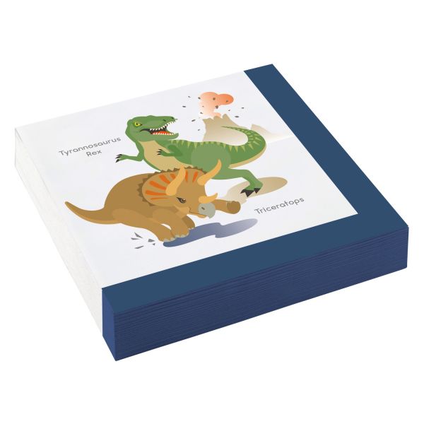 Amscan 9903973 - Papieren servetten - 10 stuks