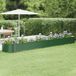 Maison Exclusive - Jardinière surélevée, acier galvanisé, 440x80x36 cm, vert