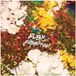 PIAS Nederland Normal Town Records New As Dew